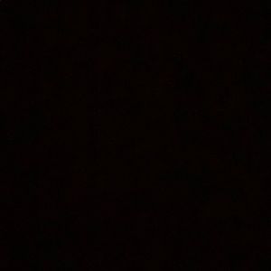 Meet your Posher, Adriana